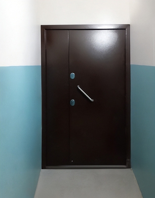 Тамбурная входная дверь Тамбурная входная дверь