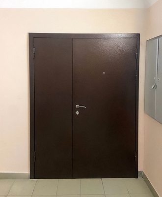 Тамбурная порошковая дверь Тамбурная порошковая дверь