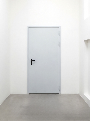 Однопольная пожаростойкая дверь